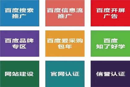 SEM服务公司助力电商增长案例
